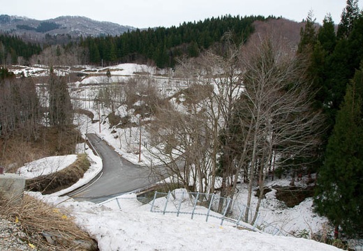 201004271025-DSC03829.jpg