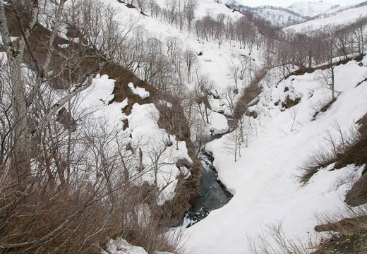 201004271046-DSC03838.jpg