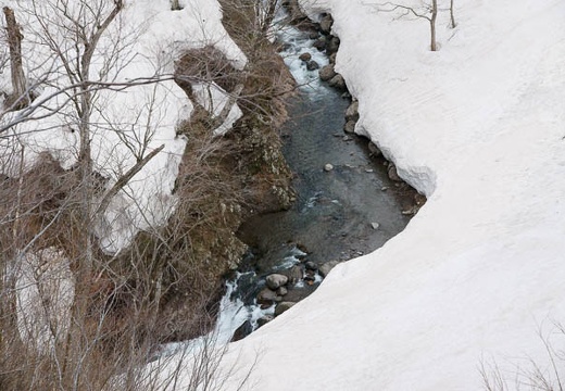 201004271047-DSC03842.jpg