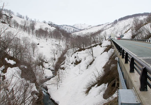 201004271048-DSC03844.jpg
