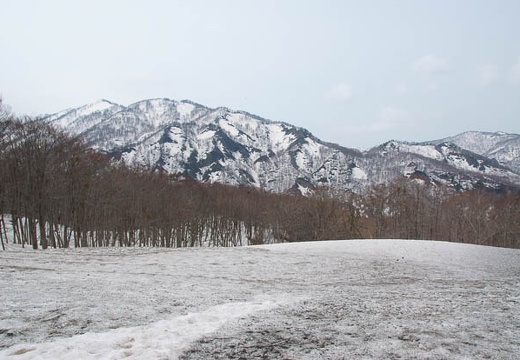201004271055-DSC03847.jpg