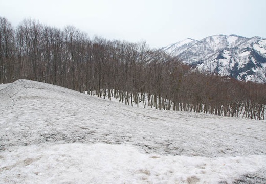 201004271055-DSC03848.jpg
