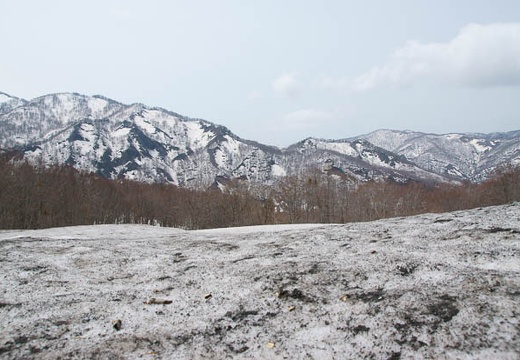 201004271056-DSC03851.jpg