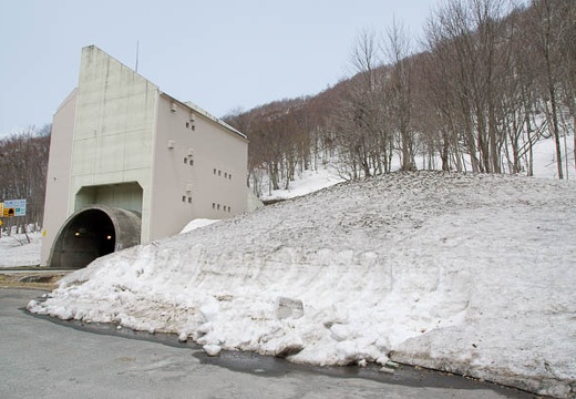 201004271105-DSC03876.jpg