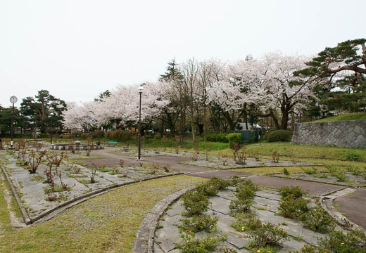 201004271155-DSC03895.jpg