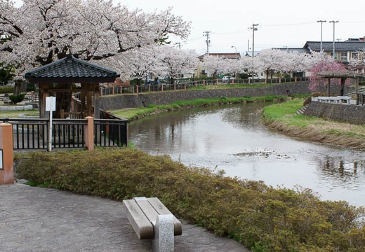 201004271349-DSC04132.jpg
