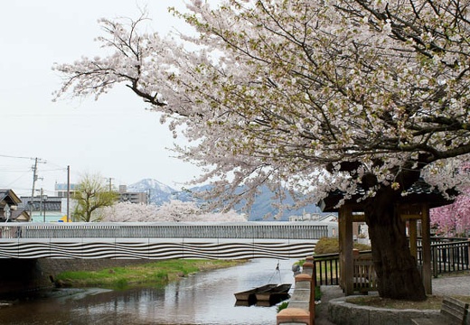 201004271353-DSC04143.jpg