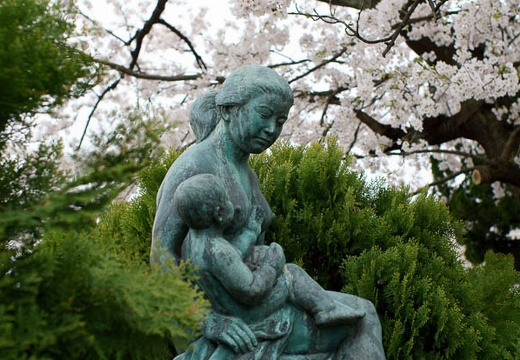 201004271356-DSC04152.jpg