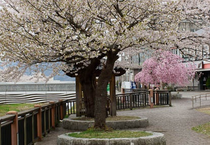 201004271400-DSC04156.jpg