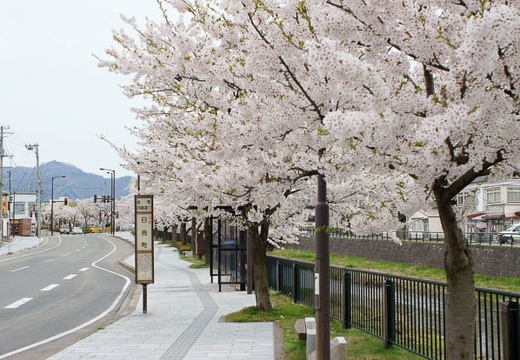 201004271410-DSC04176.jpg
