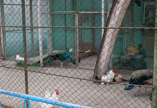 201004271449-DSC04250.jpg