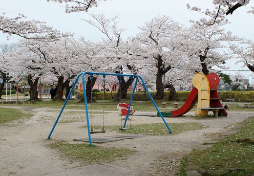 201004271449-DSC04251.jpg