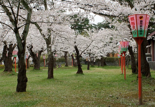 201004271507-DSC04293.jpg