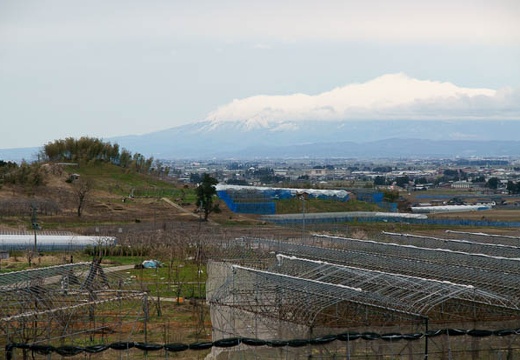 201004271743-DSC04406.jpg