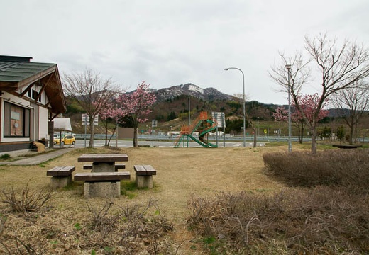 201004271744-DSC04408.jpg