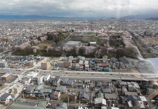 201004280828-DSC00561.jpg