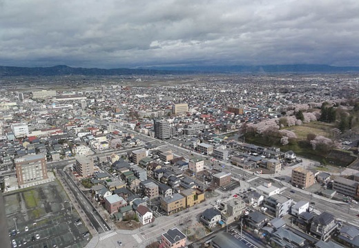201004280829-DSC00564.jpg