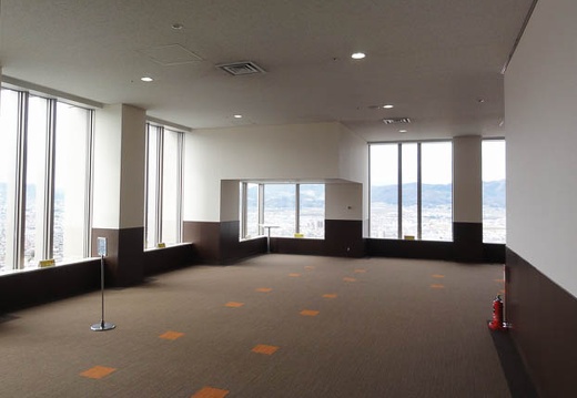 201004280831-DSC00565.jpg