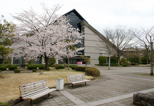 201004280857-DSC04528.jpg
