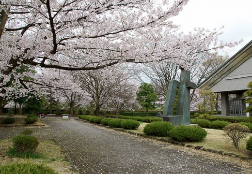 201004280857-DSC04529.jpg