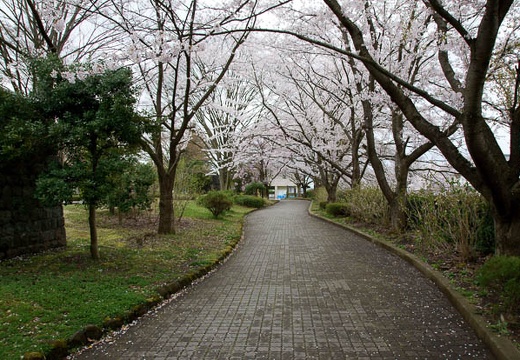 201004280858-DSC04532.jpg
