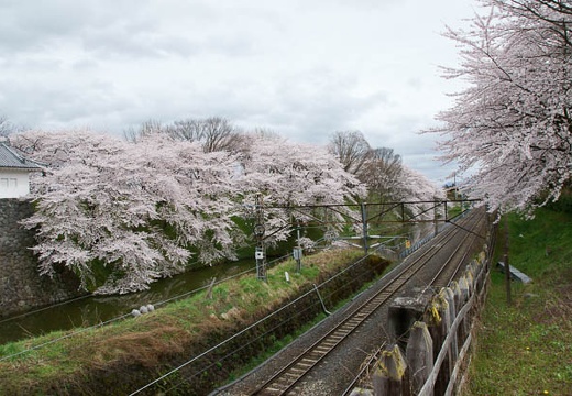 201004280901-DSC04537.jpg