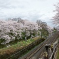 201004280901-DSC04537.jpg