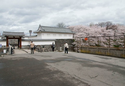 201004280901-DSC04538.jpg