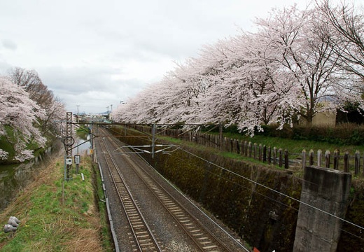 201004280901-DSC04540.jpg