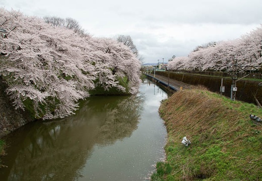 201004280902-DSC04543.jpg