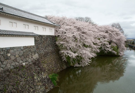 201004280902-DSC04546.jpg