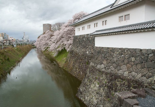 201004280903-DSC04548.jpg