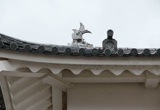201004280905-DSC04556.jpg