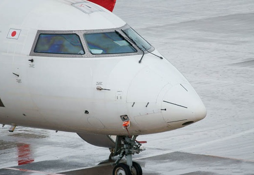 201004281225-DSC04853.jpg