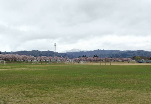201004281535-DSC04919.jpg