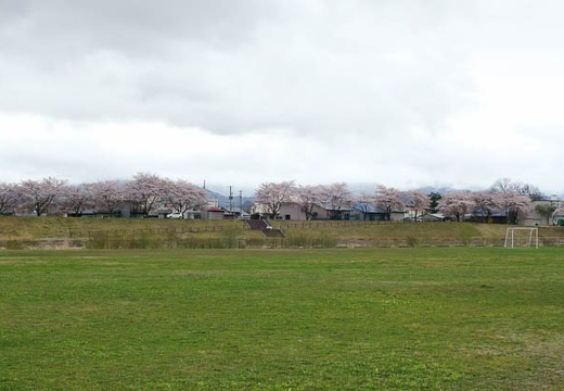 201004281536-DSC04922.jpg