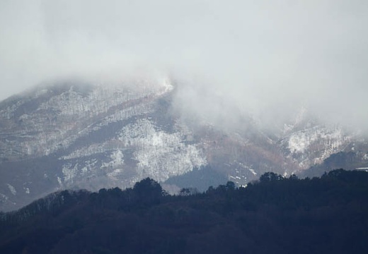 201004281538-DSC04924.jpg
