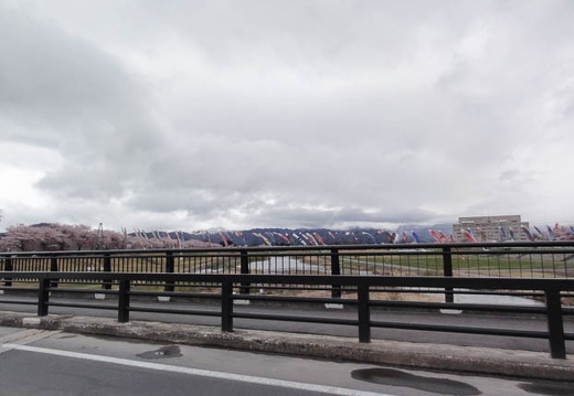 201004281541-DSC00600.jpg