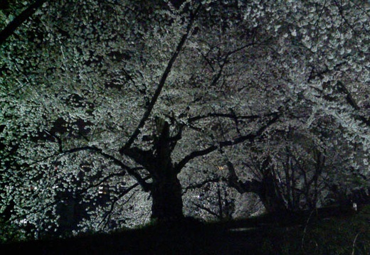 20100428193755-SO902i.jpg