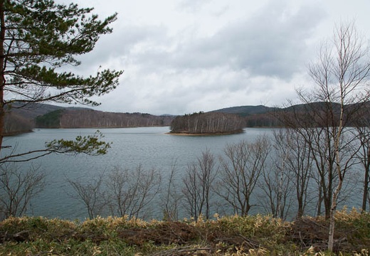 201004291007-DSC05192.jpg