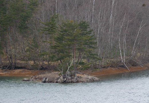 201004291013-DSC05210.jpg