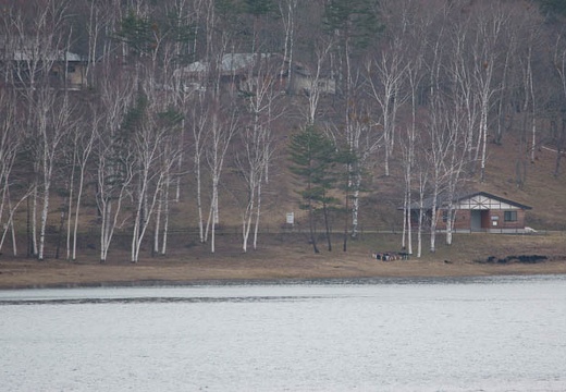 201004291013-DSC05212.jpg