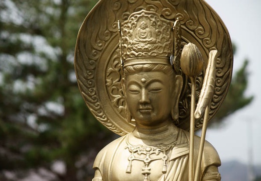 201004291116-DSC05224.jpg