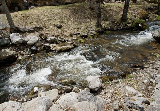 201004291121-DSC05236.jpg