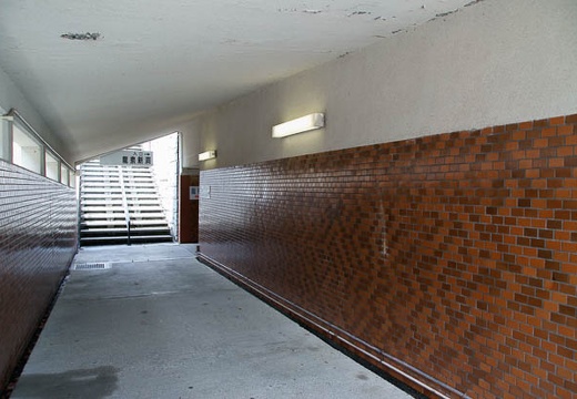 201004291123-DSC05242.jpg