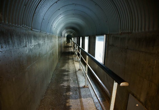 201004291127-DSC05247.jpg