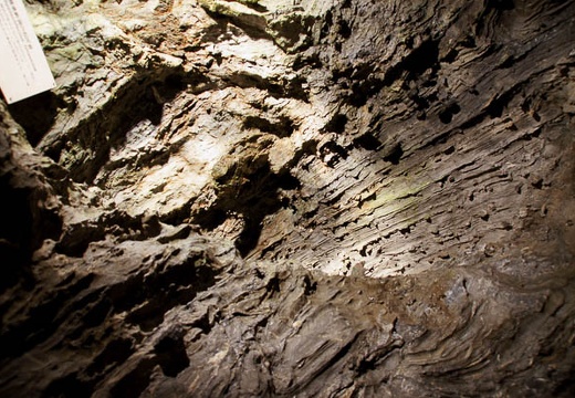 201004291130-DSC05249.jpg