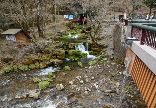 201004291139-DSC05257.jpg