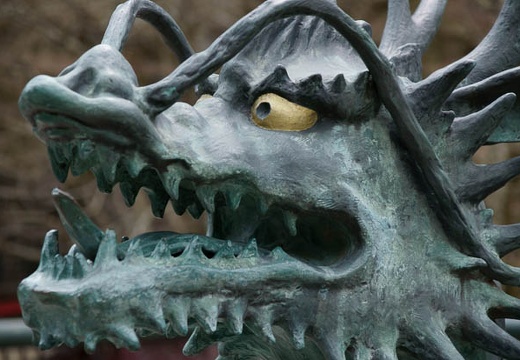 201004291144-DSC05274.jpg