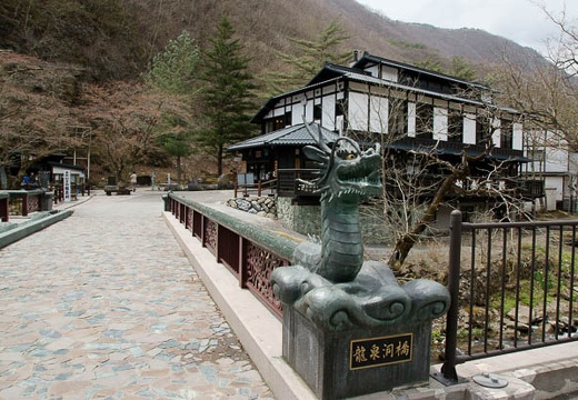 201004291145-DSC05276.jpg